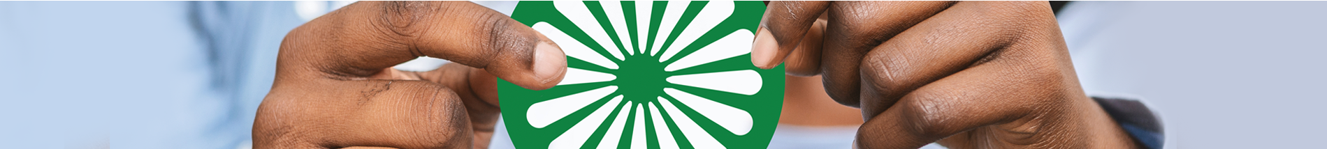 REDI NGO LOGO AND COLORS