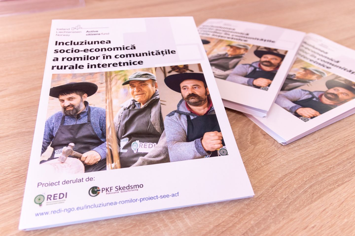 Promovarea Toleranței și Combaterea Prejudecăților: Impactul a Patru Workshop-uri Dedicate Romilor